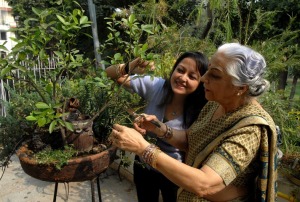 India-gardening